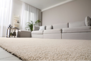 carpet cleaning and protection treatment Adelaide